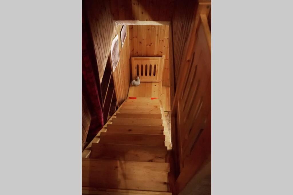 Chalet Indipendente In Centro A 발토우르넨체 외부 사진